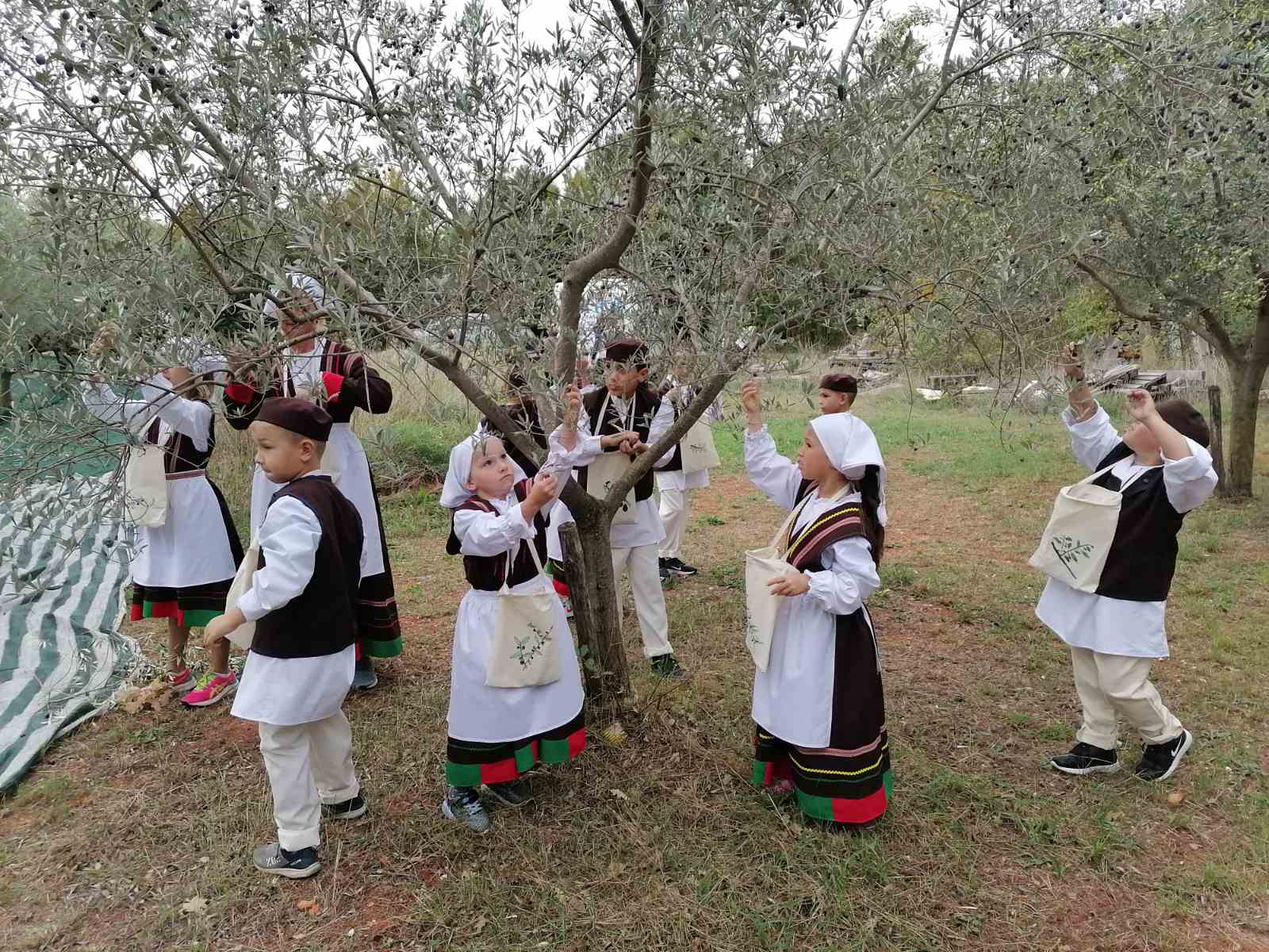 IMG 2a38bb6a75e2ddf601c978efe8f003c9 V 002