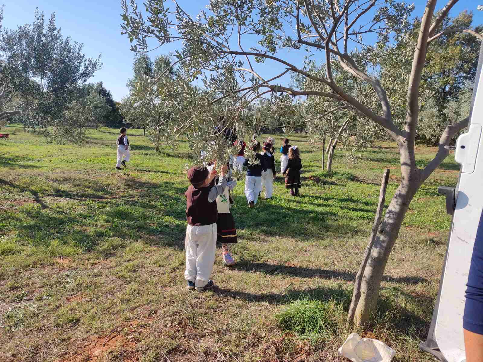 IMG d0c664721fc435d51d7bb0796466ac94 V 1 002